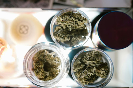 cannabis dispensary in Albany
